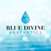 Blue Divine Aesthetics - Atlanta, GA, USA