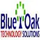 Blue Oak Technology Solutions - North Kansas City, MO, USA