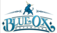 Blue Ox Exteriors - Denver, CO, USA