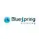 BlueSpring Cleaning - Denver, CO, USA