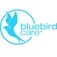 Bluebird Care (Windsor, Maidenhead & Bracknell) - Maidenhead, Berkshire, United Kingdom
