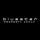 Bluestar Property Group - Balwyn, VIC, Australia