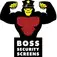 Boss Security Screens - Las Vegas, NV, USA