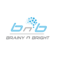 Brainy n Bright Robotics & STEM Training Institute - Lewes, DE, USA