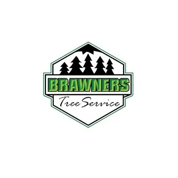 Brawner\'s Tree Service LLC - Battle Creek, MI, USA