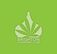 Brighton Cannabis Club - Brighton, London E, United Kingdom