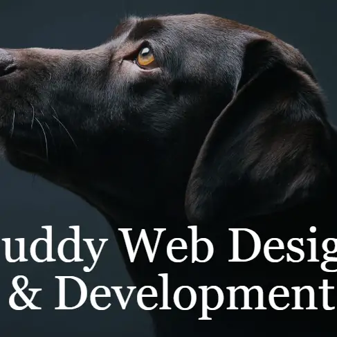 Buddy Web Design & Development - Grandville, MI, USA