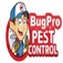 Bug Pro Pest Control - Denever, CO, USA