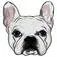 Bulldog Plumbers Fort Lauderdale - Fort  Lauderdale, FL, USA