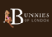 Bunnies of London - Chelsea, London E, United Kingdom