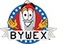 Bywex - SEO Services & Web Design NYC - New York, NY, USA