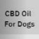 CBD Oil For Dogs - Vancouver, BC, Canada
