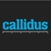 Callidus Surveys - London, Greater London, United Kingdom