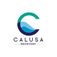 Calusa Recovery - Fort Meyers, FL, USA