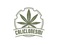 Cannabis Clones Online - Madison Heights, MI, USA
