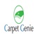 Carpet Genie - Sydney, NSW, Australia