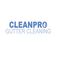 Clean Pro Gutter Cleaning Erie