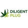 DILIGENT PLUG - London, London E, United Kingdom