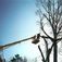 Del\'s Tree Service - Shawnee Mission, KS, USA