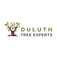 Duluth Tree Experts - Duluth, GA, USA