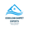 EcoClean Carpet Experts - Chevy Chase, MD, USA