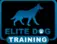Elite Dog Training Ltd - Milford Haven, Pembrokeshire, United Kingdom