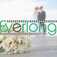 Everlong Films - Merthyr Tydfil, Merthyr Tydfil, United Kingdom