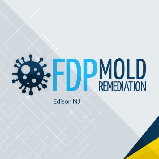FDP Mold Remediation - Edison, NJ, USA