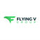Flying V Group Digital Marketing