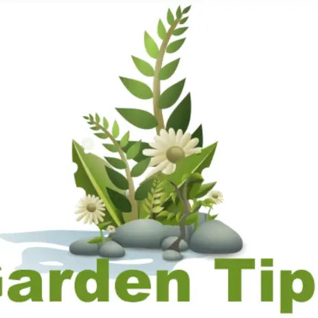 Gardentips - London, London S, United Kingdom