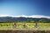 Gentle Cycling Company - Tahunanui, Nelson, New Zealand