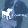 Good Dog Rocky Point - Port Moody, BC, Canada