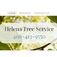 Helena Tree Service - Helena, MT, USA