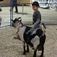 Horse Sense Training & Petting Zoo - Sturgeon County, AB, Canada