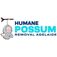 Humane Possum Removal Beaumont - Adelaide, SA, Australia