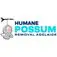 Humane Possum Removal Blackwood - Adelaide, SA, Australia