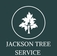 Jackson Tree Service - Jackson, MS, USA