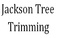 Jackson Tree Trimming - Murfreesboro, TN, USA