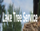 Lake Tree Service - Erie, PA, USA