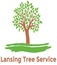 Lansing Tree Service - Lansing, MI, USA