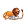 Lion Roofing Remodeling Co. LLC - Fremont, NE, USA