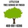 Little Elm Tree Service of Frisco - Frisco, TX, USA