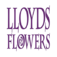 Lloyds Flowers - Bristol, Kent, United Kingdom
