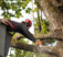 Lock City Tree Removal Solutions - Stamford, CT, USA