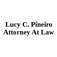 Lucy C. Pineiro Attorney At Law - Coral Gables, FL, USA