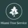 Miami Tree Service - Miami, FL, USA