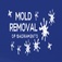 Mold Remediation Sacramento - Sacramento, CA, USA