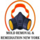 Mold Removal & Remediation New York - Bronx - Bronx, NY, USA