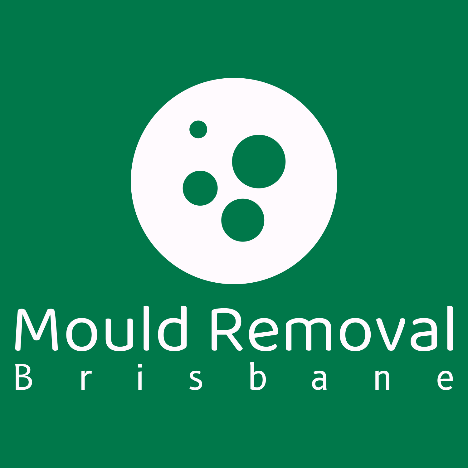 Mould Removal Brisbane - Brisbane QLD 4000, QLD, Australia