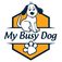 My Busy Dog - Boston, MA, USA